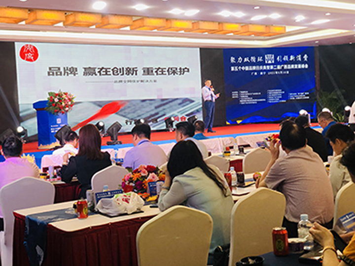 Founder Chen Bing of ANDU & PARTNERS was invited to attend the 5th China Brand Day Celebration and the 2nd Guangxi Brand Development Summit to Chat about Brand Wide Network Protection Solutions